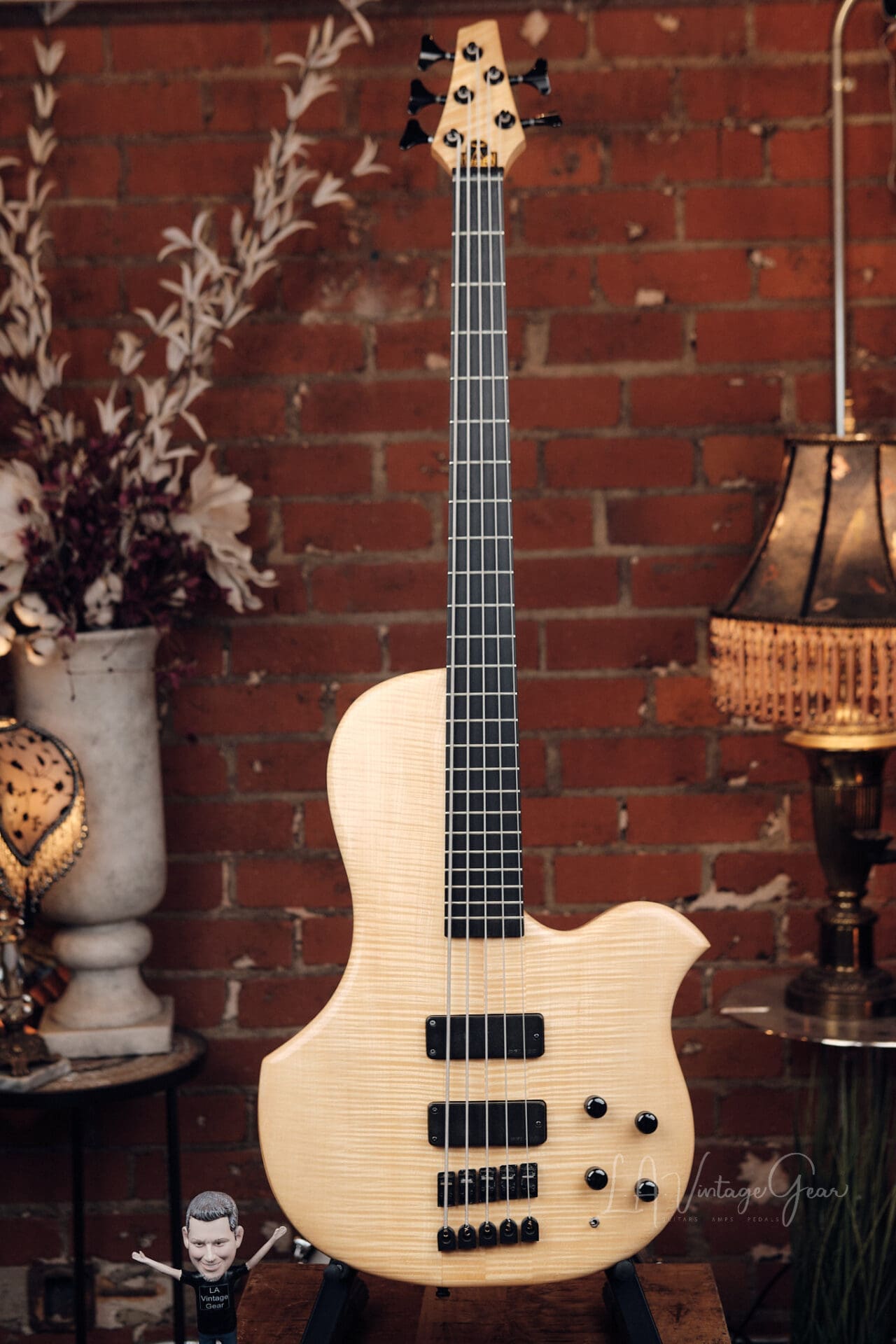 Human Base ClassX 5 String Bass - Awesome Single Cut!