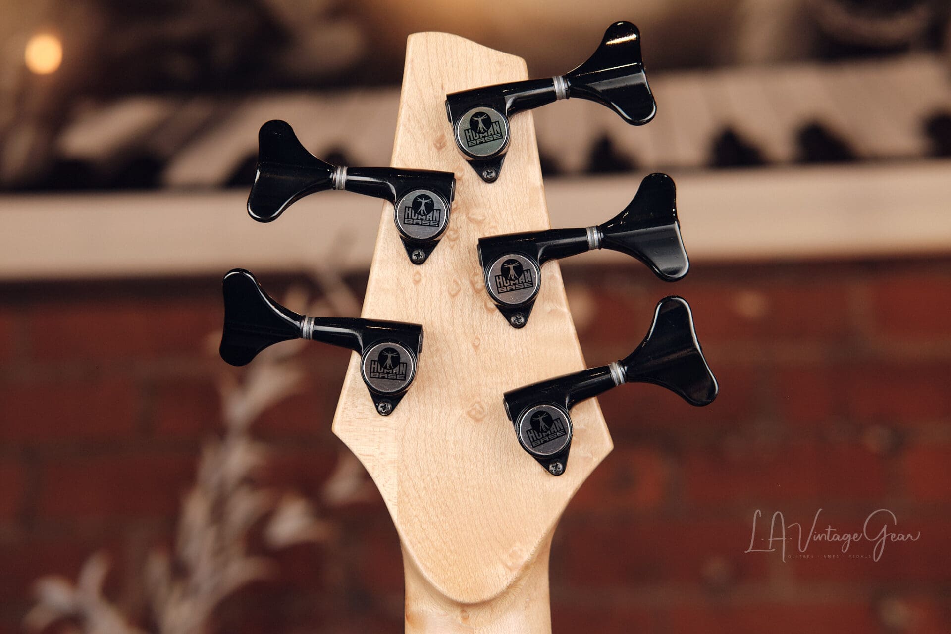 Human Base ClassX 5 String Bass - Awesome Single Cut! - Image 11