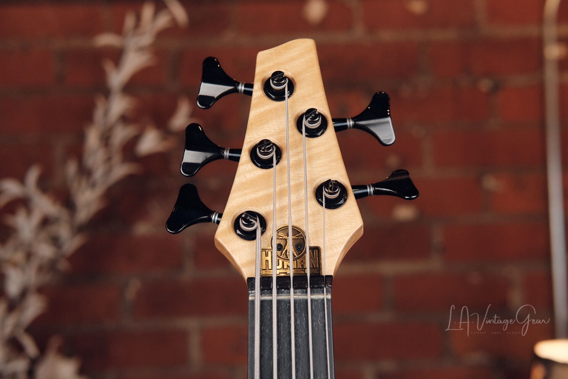Human Base ClassX 5 String Bass - Awesome Single Cut! - Image 5