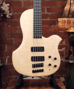 Alternative view of Human Base ClassX 5 String Bass - Awesome Single Cut!