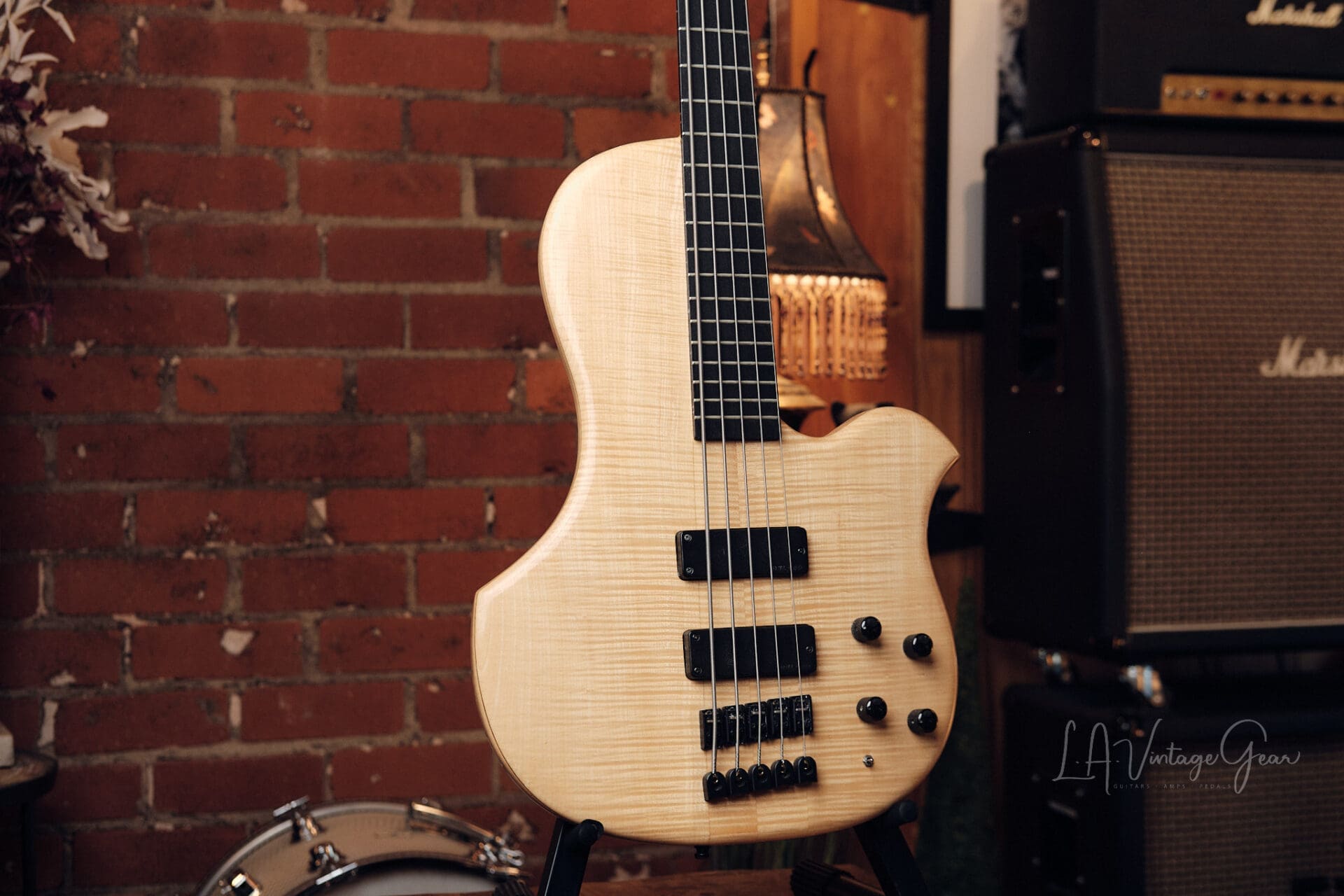 Human Base ClassX 5 String Bass - Awesome Single Cut! - Image 4