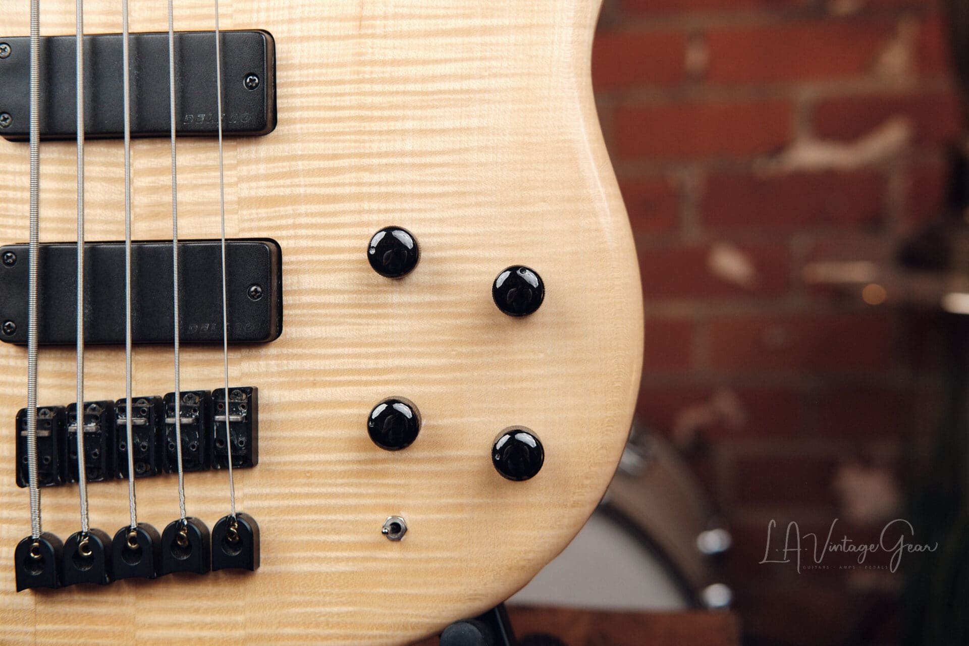 Human Base ClassX 5 String Bass - Awesome Single Cut! - Image 6