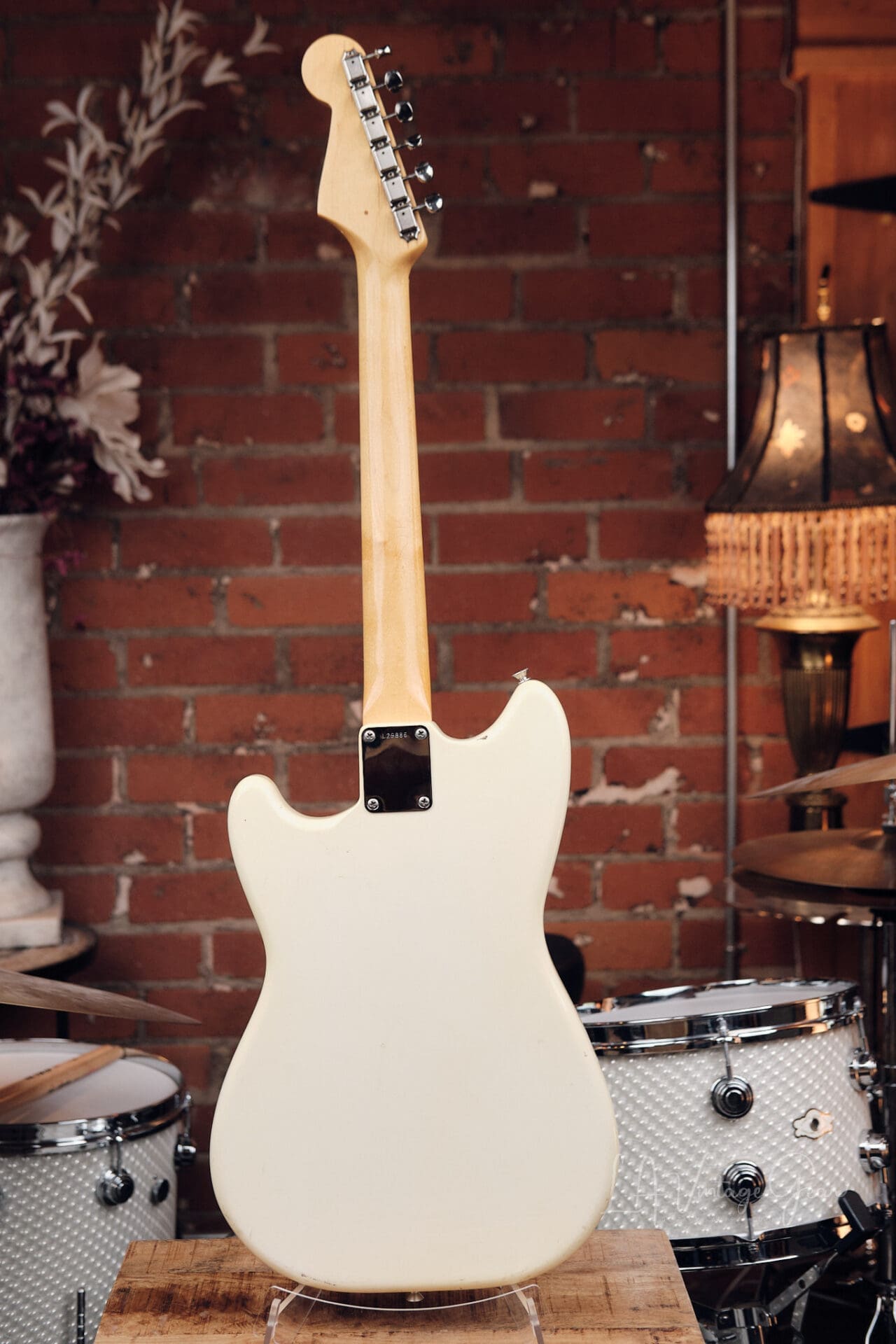 1964 Fender Duo Sonic - Olympic White! - Image 13