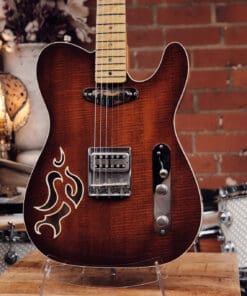 Alternative view of T Style Partscaster - with Filtertron!